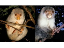 ��������� ������