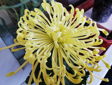 ���������� �������� ������ IMG 20190315 072039.jpg