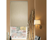 �������� ����� ������