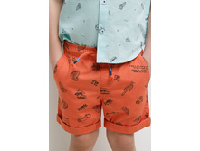 20120420043   Amur   ����������(������).jpg