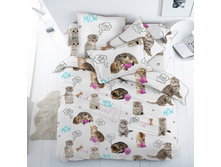 ��������� 16050-1