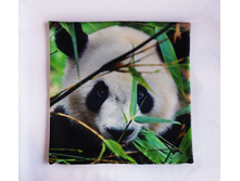 ����� �� �������� ������� "�����" ��������� �� ������