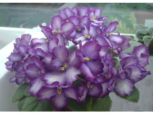 ��-������ ������.jpg