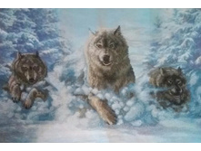 "�����" ������ 30*44 ��