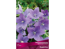 ����������������� ��������������� ����� ��� 1 �� �����