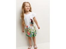 20220200365   Papaya   �������.jpg