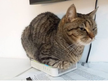 ��� ��������� ��� �� �� ������ ��������� ������