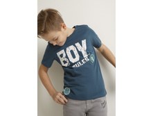 20110110176   Tesla   �����-�������(������).jpg