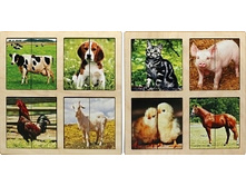 �������� ����� �����_�018_��������-��������� �������� �������� (2 ��������)_194���