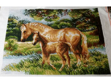 ������ � ����������, 40*30