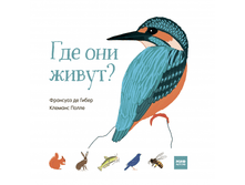 ��� ��� �����?