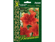 ����� �������� ����� ������� �������� (��������� ������) 4 �� �������.jpg