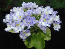 ��-�������� ����.jpg