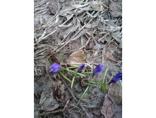 IMG 20190324 115752.jpg