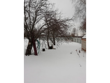 IMG 20190317 113527.jpg