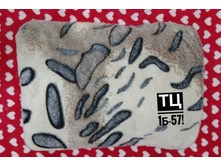 ���� �������� 256 -250��� -1��.jpg