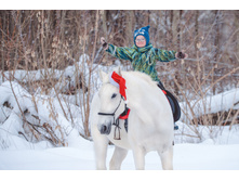 ��� ������� ����