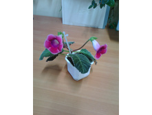 IMG 20190325 083111.jpg