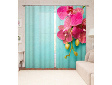 14287 ��������� "����� ��������"