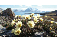 �������� ���.jpg