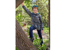 ������ 3029�