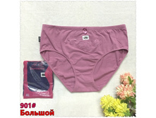 ����� ������� ������� �������� FAVORITE-901 66 ���