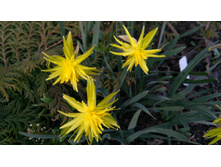 IMG 20190420 163951.jpg