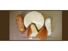 ���� �� �������� ������