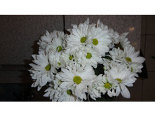 ���������� ���� ��������� - 350 ���.