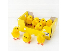 ������� 10��, ���� �� 2 �� 133 �