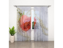 ����001-14083 1.jpg