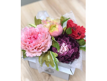 ����� �� ���������� ������