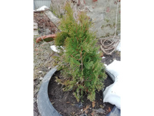 IMG 20190413 132733.jpg