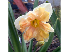 IMG 20190420 163843.jpg