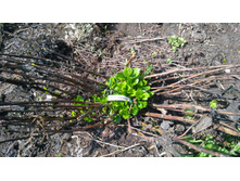 IMG 20190422 131841.jpg