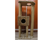 �����-���������� ��� �����