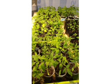 IMG 20190330 104010647.jpg