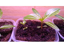 IMG 20190406 070000.jpg