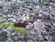 IMG 20190430 155803.jpg