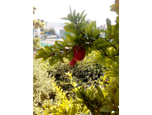 ��� � �� ������ ��������