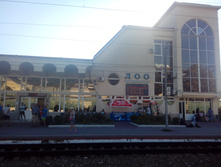 �/� ������ ���