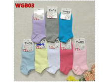 ����� ������� BFL-WGB03 24 ���