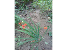 IMG 20180910 170421.jpg