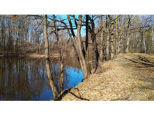 IMG 20190420 095424.jpg