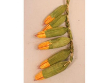 �������-��������, 127 �