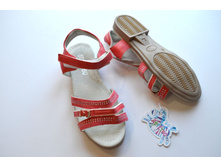 � ����.����