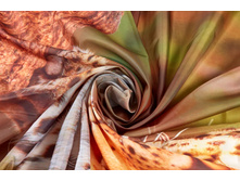 ����001-13527 2.jpg