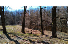 IMG 20190420 095328.jpg