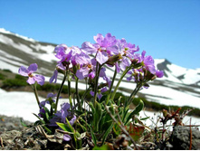 ������ ��������������.jpg