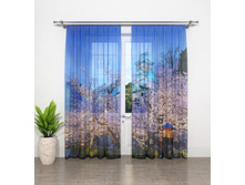 ����001-03406 1.jpg